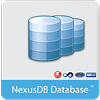 Real Business Software (RBS) NexusDB